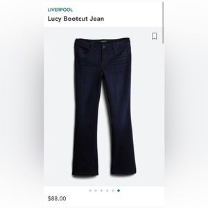 Liverpool Size 16W Bootcut Jeans